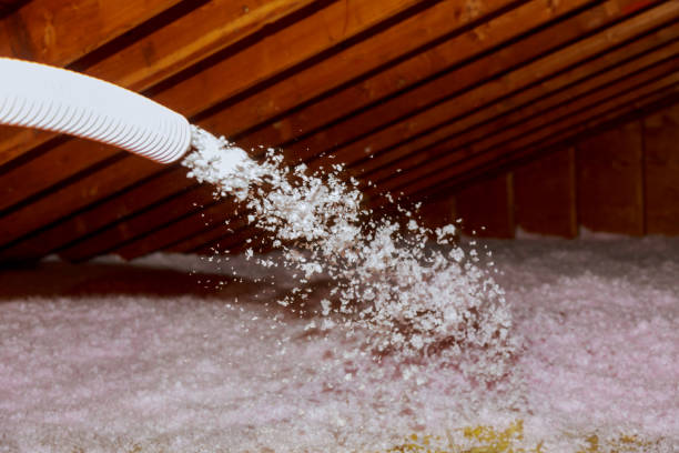 Types of Insulation We Offer in Dagsboro, DE